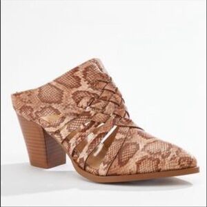 Cato Snake Crossband